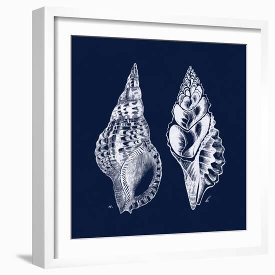 Shell Negative I-N. Harbick-Framed Art Print