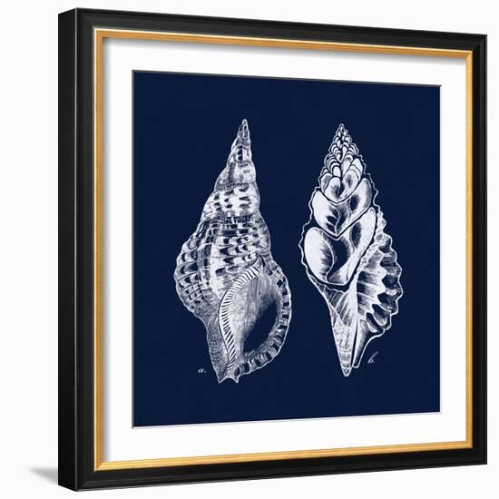 Shell Negative I-N. Harbick-Framed Art Print