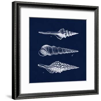Shell Negative II-N. Harbick-Framed Art Print