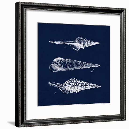 Shell Negative II-N. Harbick-Framed Art Print