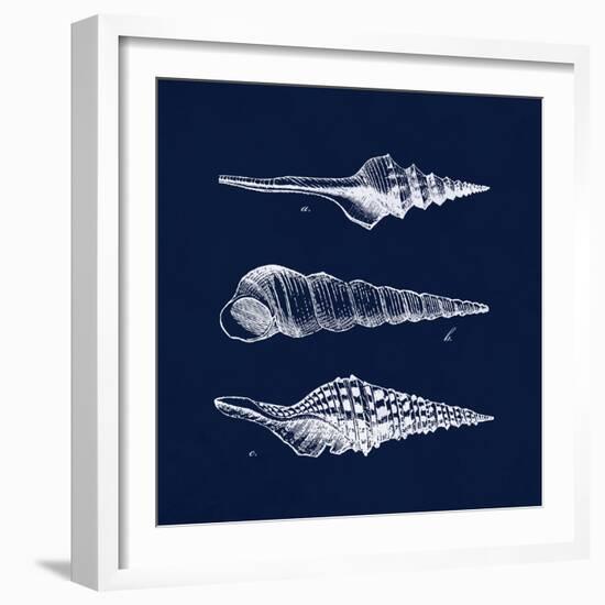 Shell Negative II-N. Harbick-Framed Art Print