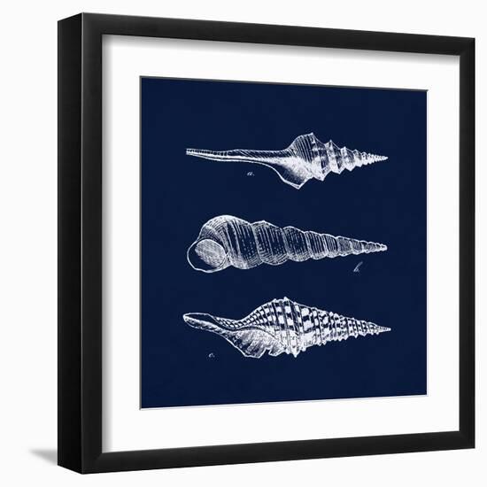 Shell Negative II-N. Harbick-Framed Art Print