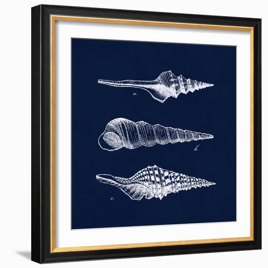 Shell Negative II-N. Harbick-Framed Premium Giclee Print