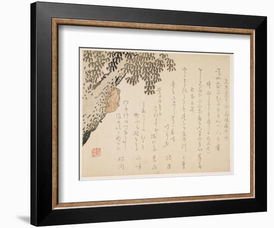 Shell of a Cicada, C.1848-53-Kangyoku-Framed Giclee Print