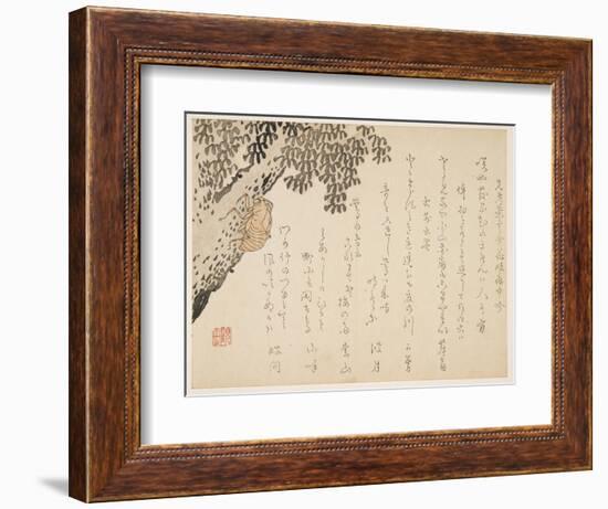 Shell of a Cicada, C.1848-53-Kangyoku-Framed Premium Giclee Print