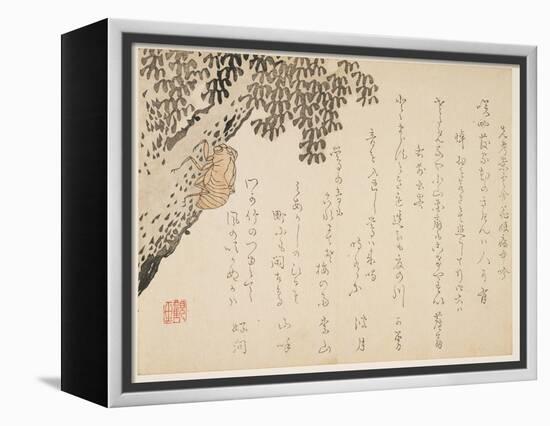 Shell of a Cicada, C.1848-53-Kangyoku-Framed Premier Image Canvas