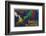 Shell Oil and Petrol-null-Framed Premium Giclee Print