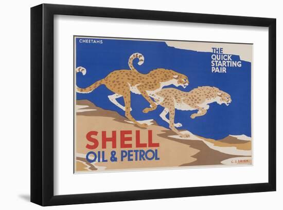 Shell Oil & Petrol Cheetahs-null-Framed Art Print