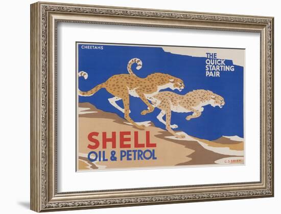 Shell Oil & Petrol Cheetahs-null-Framed Art Print