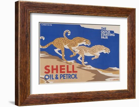 Shell Oil & Petrol Cheetahs-null-Framed Art Print