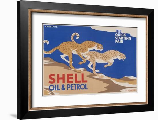 Shell Oil & Petrol Cheetahs-null-Framed Art Print