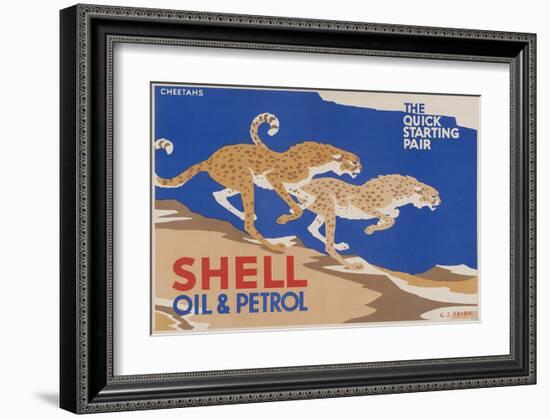 Shell Oil & Petrol Cheetahs-null-Framed Art Print