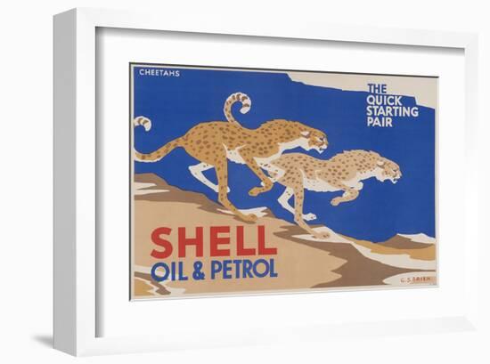 Shell Oil & Petrol Cheetahs-null-Framed Art Print