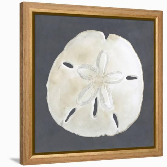 Shell on Slate II-Megan Meagher-Framed Stretched Canvas