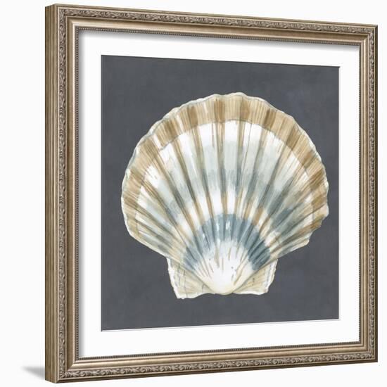 Shell on Slate III-Megan Meagher-Framed Art Print