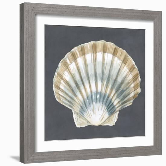 Shell on Slate III-Megan Meagher-Framed Art Print