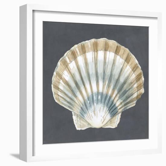 Shell on Slate III-Megan Meagher-Framed Art Print