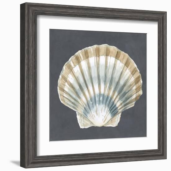 Shell on Slate III-Megan Meagher-Framed Art Print