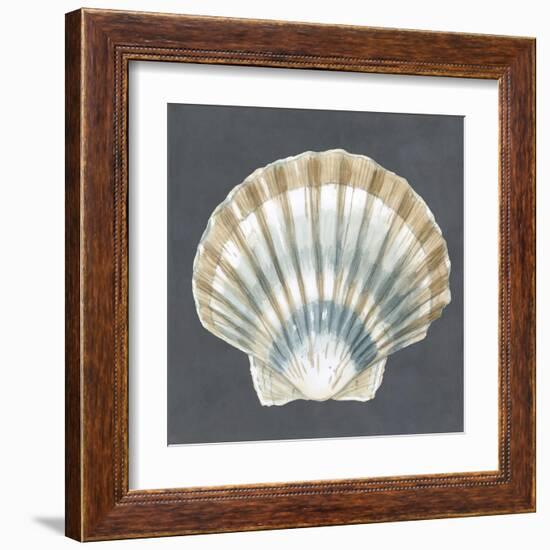 Shell on Slate III-Megan Meagher-Framed Art Print