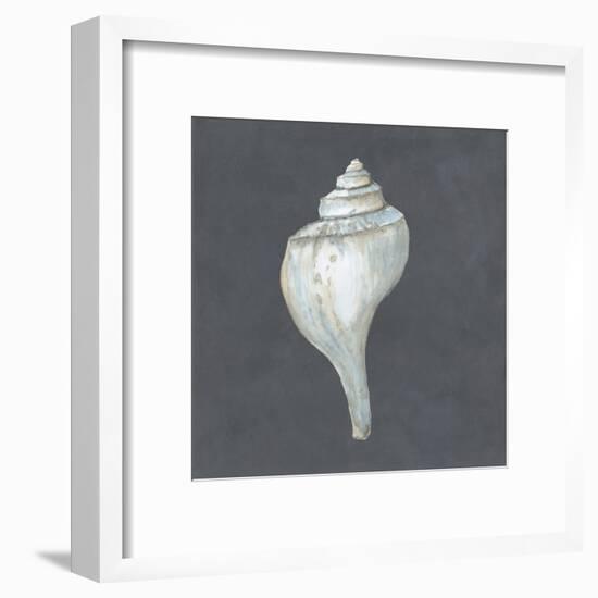 Shell on Slate IV-Megan Meagher-Framed Art Print