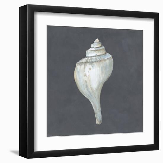 Shell on Slate IV-Megan Meagher-Framed Art Print