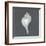 Shell on Slate IV-Megan Meagher-Framed Art Print