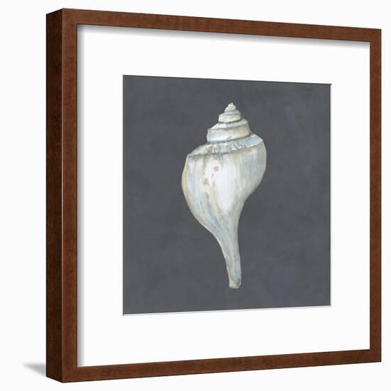 Shell on Slate IV-Megan Meagher-Framed Art Print