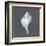 Shell on Slate IV-Megan Meagher-Framed Art Print