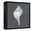 Shell on Slate IV-Megan Meagher-Framed Stretched Canvas