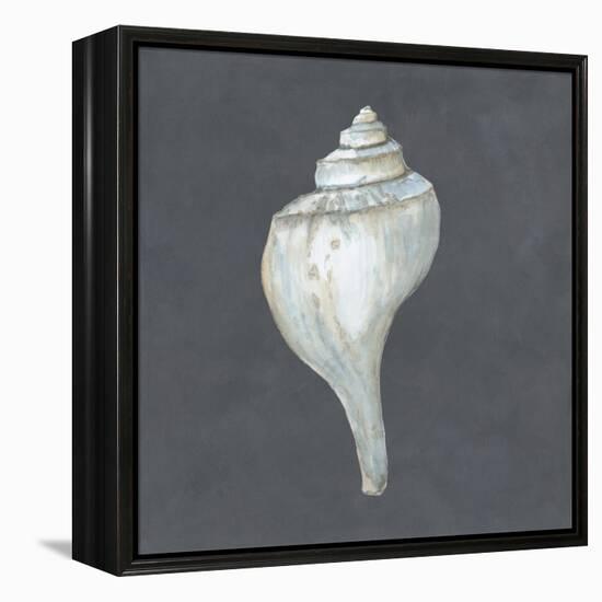Shell on Slate IV-Megan Meagher-Framed Stretched Canvas