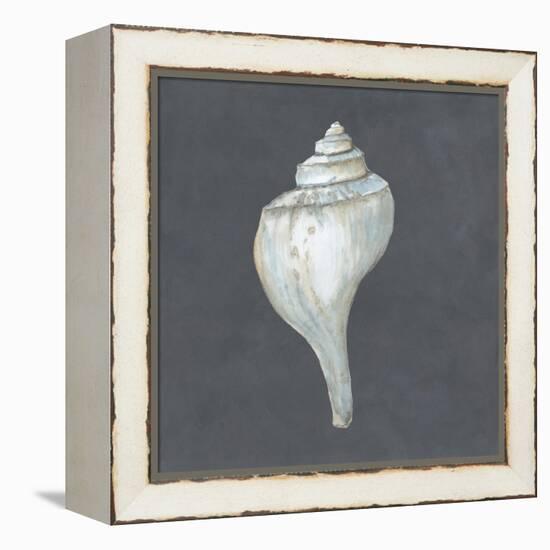 Shell on Slate IV-Megan Meagher-Framed Stretched Canvas