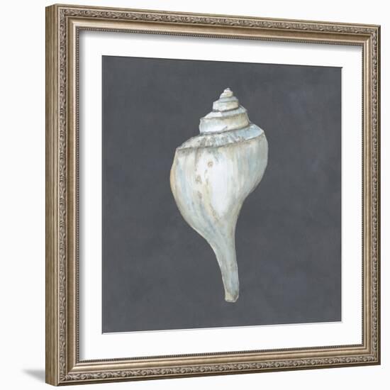 Shell on Slate IV-Megan Meagher-Framed Art Print