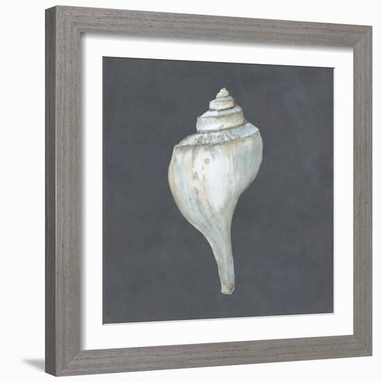 Shell on Slate IV-Megan Meagher-Framed Art Print