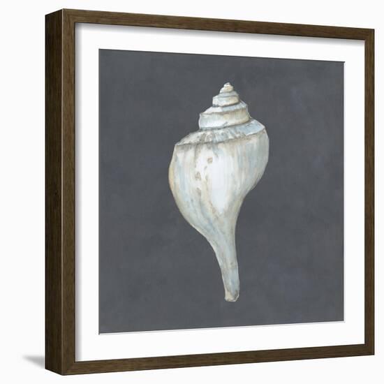 Shell on Slate IV-Megan Meagher-Framed Art Print