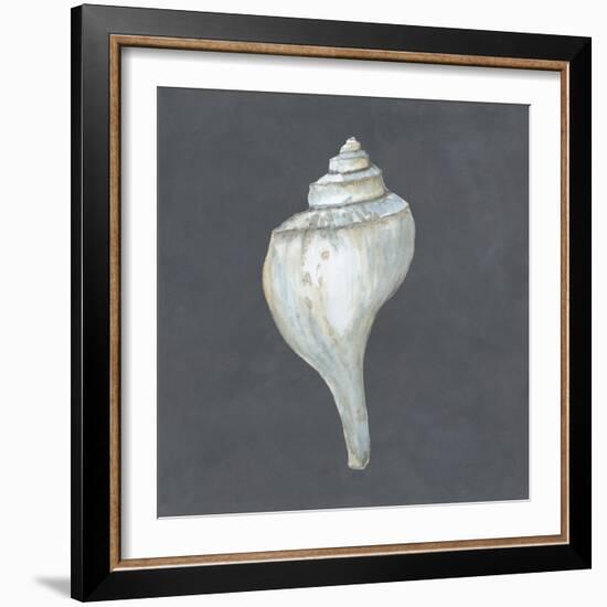 Shell on Slate IV-Megan Meagher-Framed Art Print