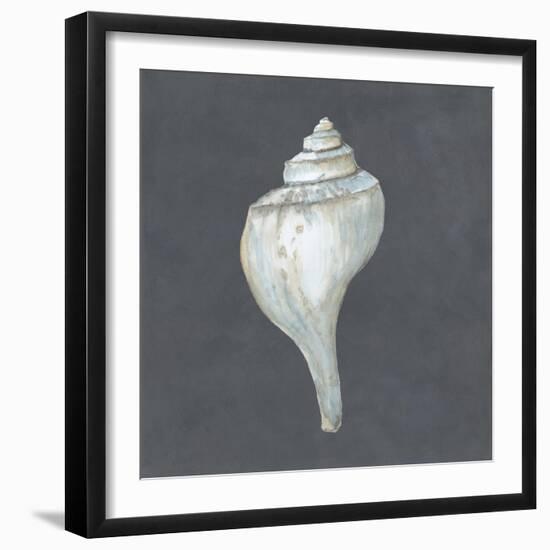 Shell on Slate IV-Megan Meagher-Framed Art Print