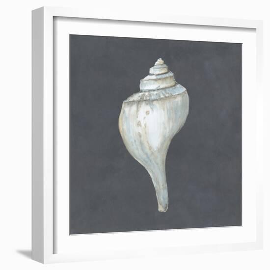 Shell on Slate IV-Megan Meagher-Framed Art Print