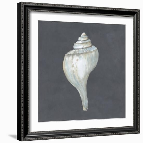 Shell on Slate IV-Megan Meagher-Framed Art Print