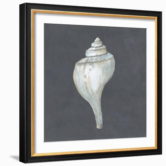 Shell on Slate IV-Megan Meagher-Framed Art Print