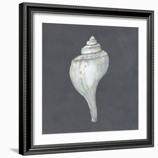 Shell on Slate IV-Megan Meagher-Framed Premium Giclee Print