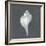 Shell on Slate IV-Megan Meagher-Framed Premium Giclee Print