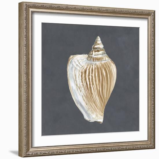 Shell on Slate VI-Megan Meagher-Framed Premium Giclee Print