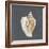 Shell on Slate VI-Megan Meagher-Framed Premium Giclee Print