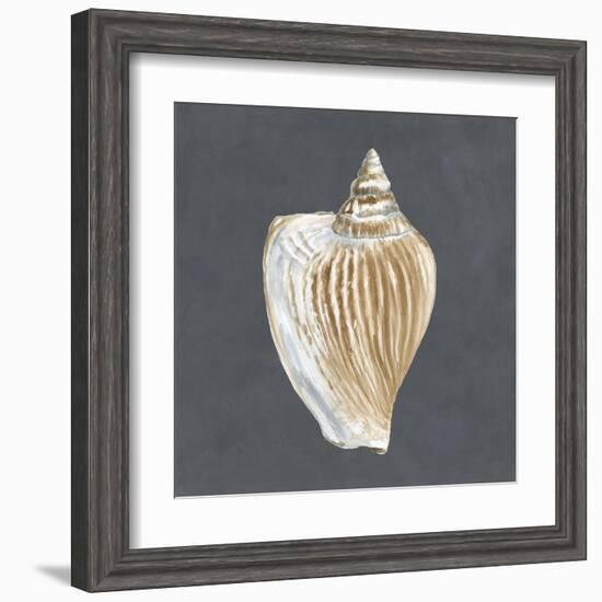 Shell on Slate VI-Megan Meagher-Framed Art Print