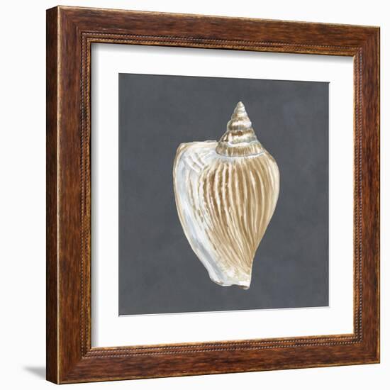 Shell on Slate VI-Megan Meagher-Framed Art Print