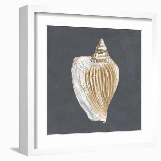 Shell on Slate VI-Megan Meagher-Framed Art Print