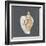 Shell on Slate VI-Megan Meagher-Framed Art Print