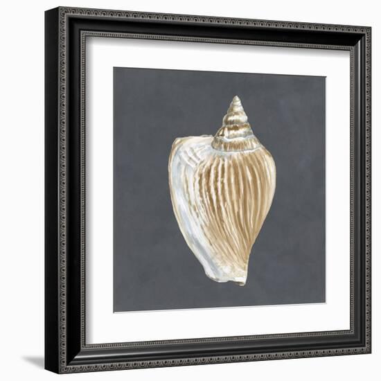 Shell on Slate VI-Megan Meagher-Framed Art Print