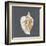 Shell on Slate VI-Megan Meagher-Framed Art Print