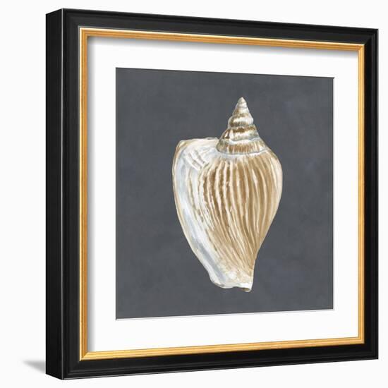 Shell on Slate VI-Megan Meagher-Framed Art Print